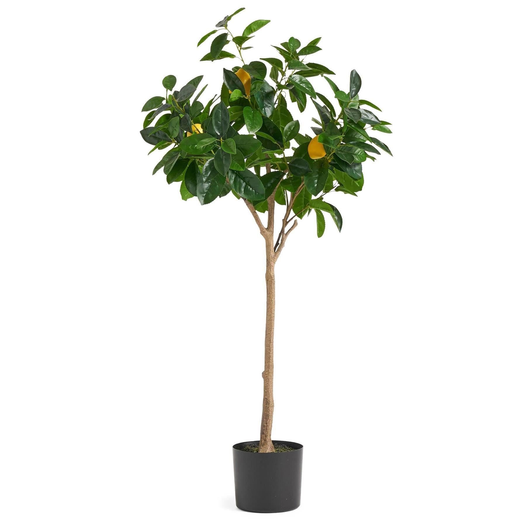 Realistic Artificial Fruit Trees