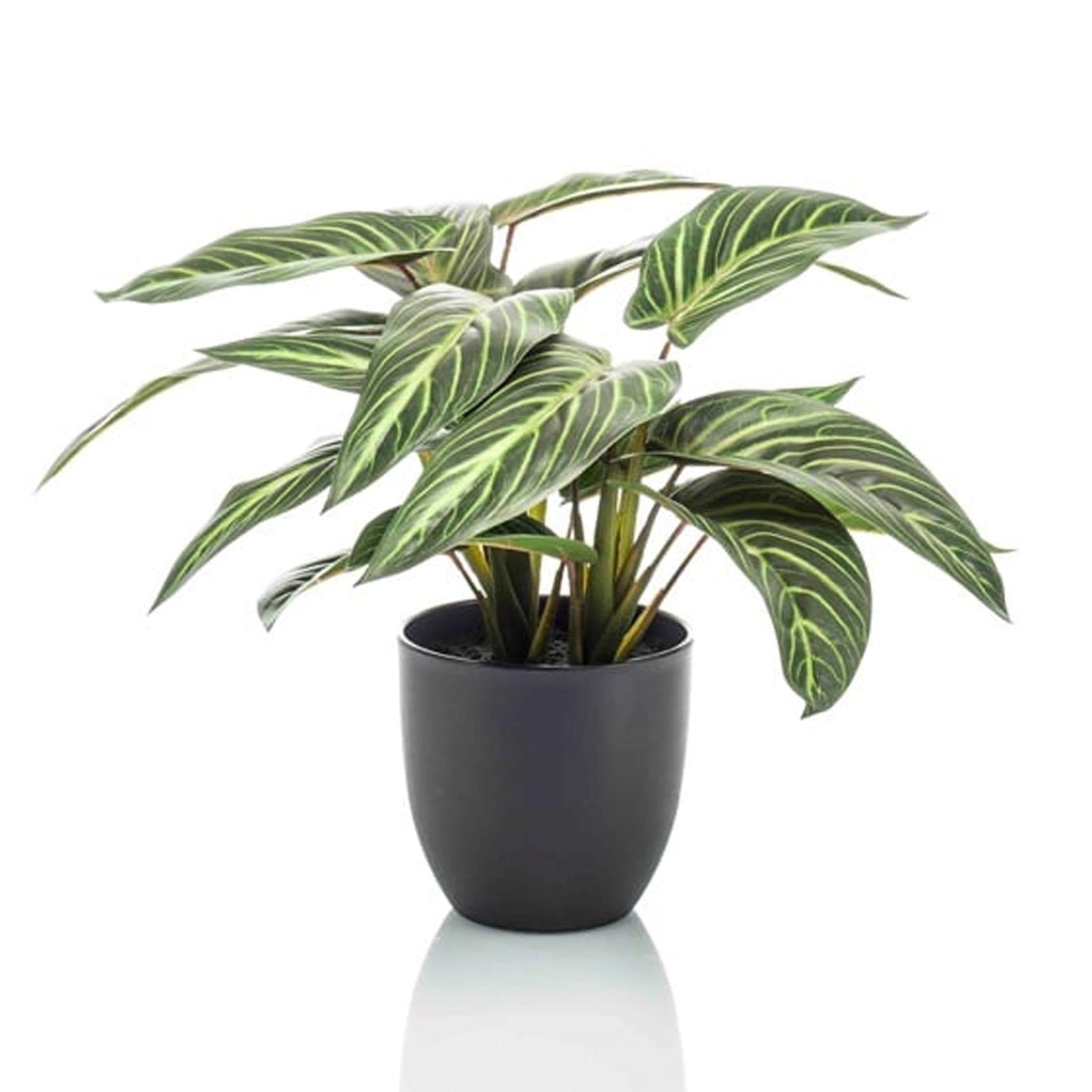 Plante artificielle de 42 cm Calathea Zebrina Marante en osier decorative