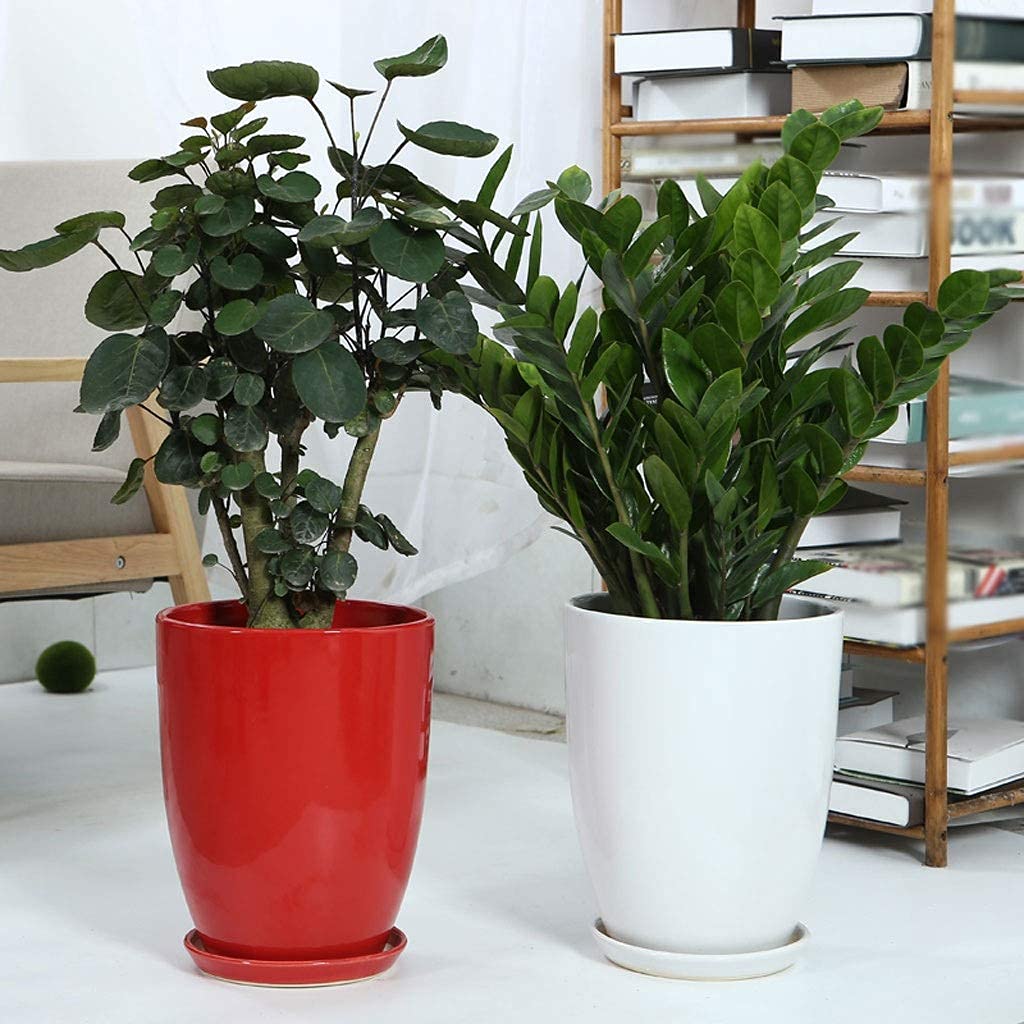 Grote keramische plantenbakken - Best Bloem Potten