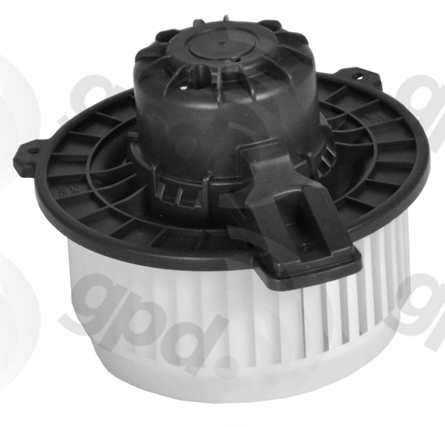 Amazon.com: Global Parts Distributors - 13-14 SPARK (2311813 