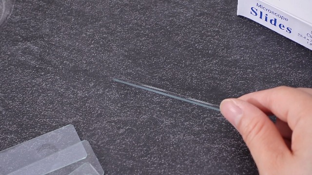 Image of Tellegloww 50 Pcs Pre-Cleaned Double Concave Microscope Glass Slide 3 inch x 1 inch