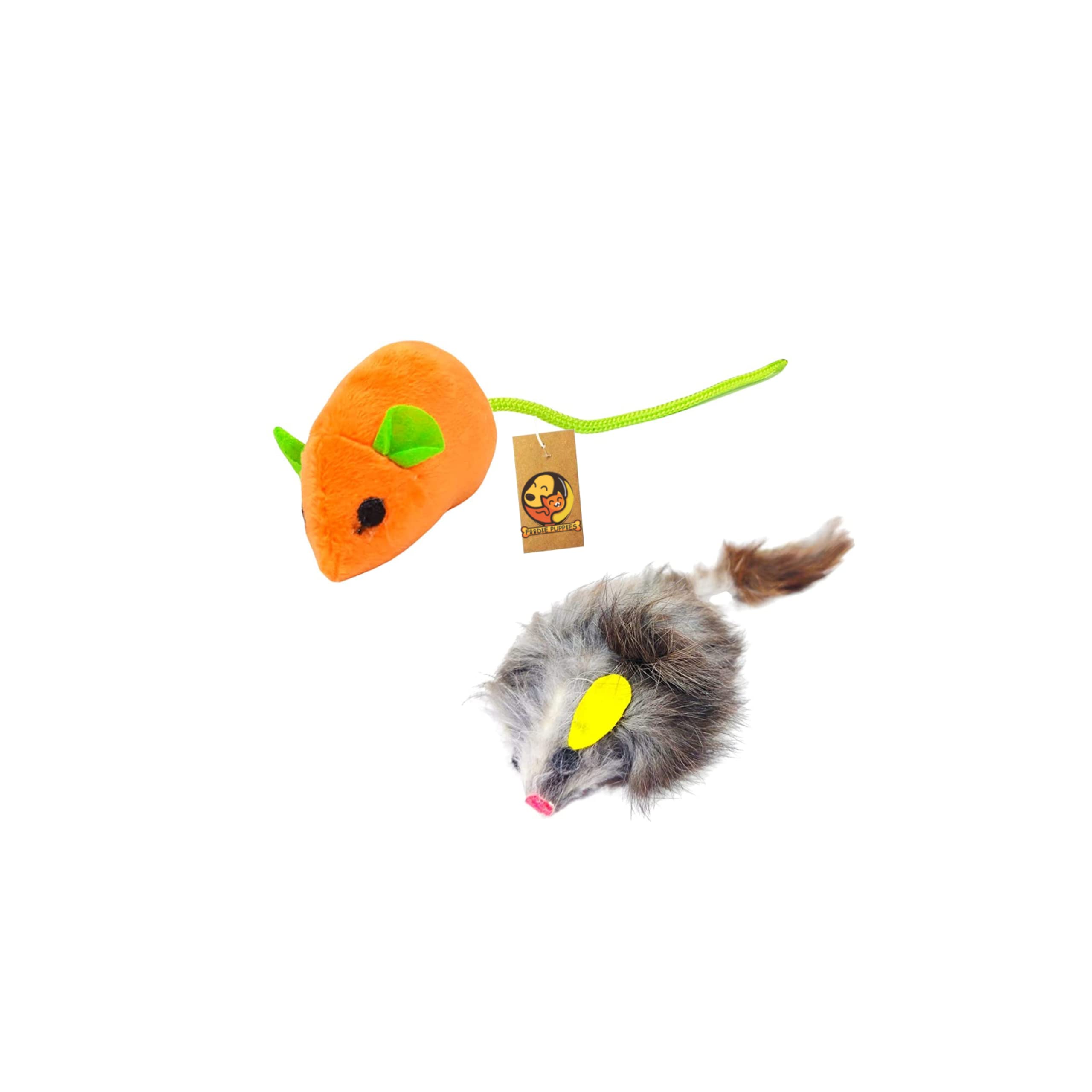 Foodie Puppies Interactive Feather and Velvet Rat Combo for Suitable Exercise Your Cats, Kitten to Make Pet Happy (B09K7KDQY2) Amazon Price History, Amazon Price Tracker