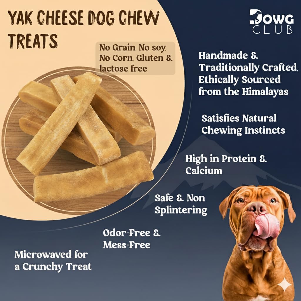 Himalayan Yak Cheese Dog Chews | Pack of 12 | Natural, Long-Lasting Treats for Aggressive Chewers, Odorless Yak Milk Chews for Dogs – Healthy, Protein-Rich (Small)