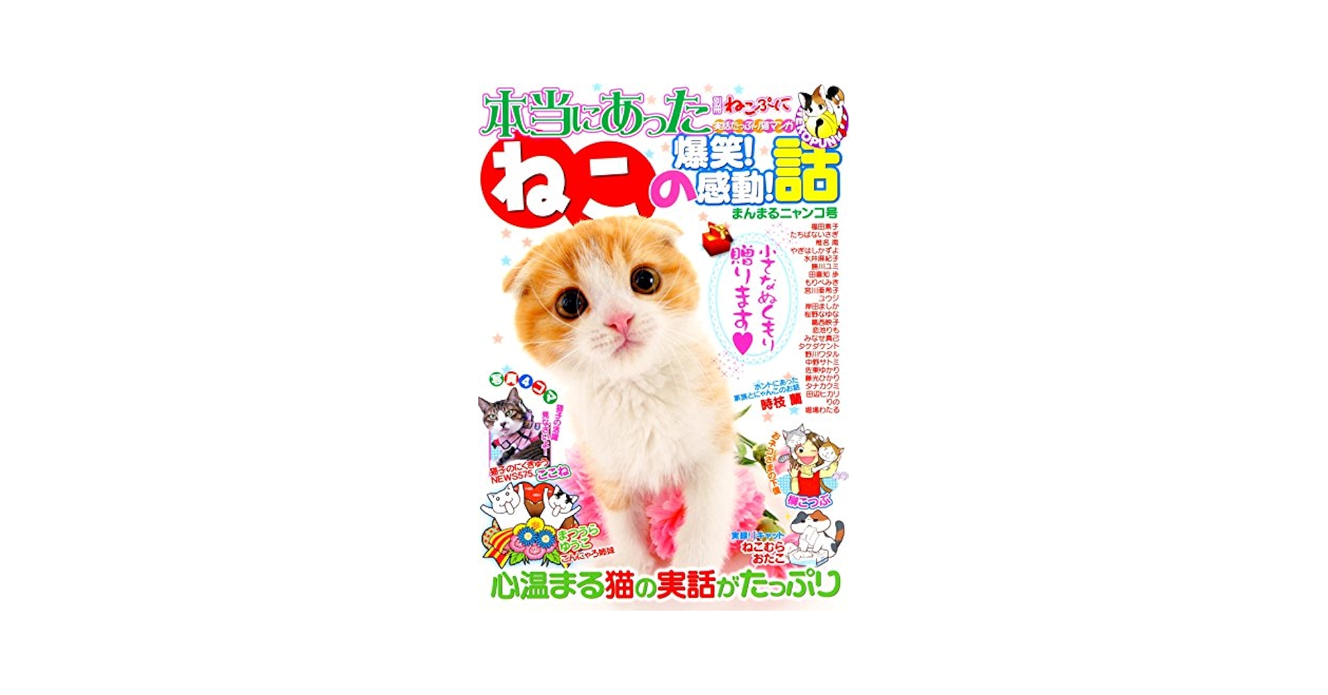【中古】 別冊ねこぷに本当にあったねこの爆笑！感動！話 アイラブにゃんこ号/メディアックス 別冊ねこぷに 本当にあったねこの爆笑!感動!話 まんまるニャンコ