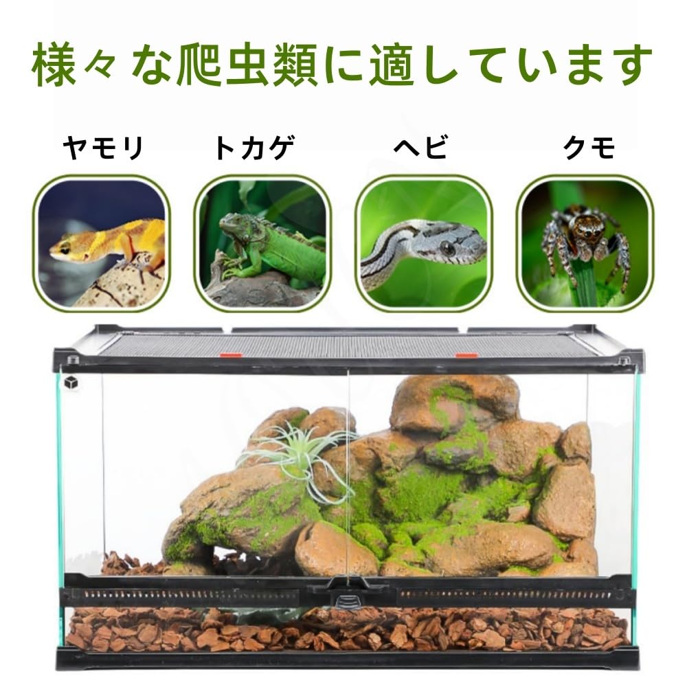 Amazon | AOUCN爬虫類ケージ、模擬生態環境、爬虫類の脱皮を助ける