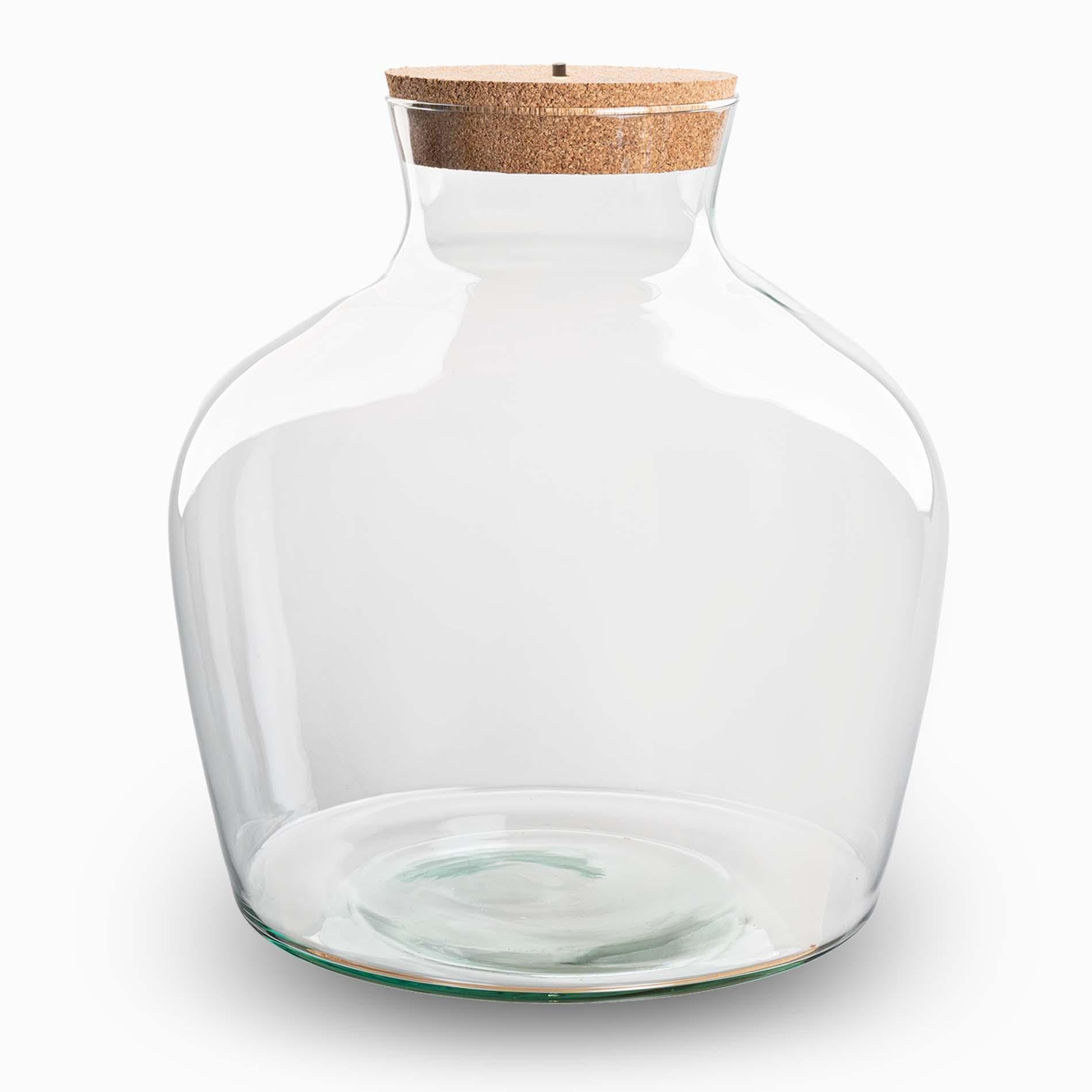 Terrarium-Flasche mit LED, Flaschengarten aus Glas, Klar, Ø 29 cm, 9L