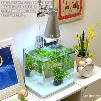 Amazon | トゥービック クリアライトスタンドM | トゥービック