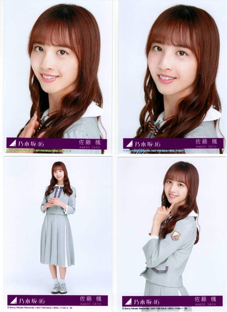 佐藤楓 生写真フルコンプ 乃木坂46 生写真 乃木坂46 佐藤楓 生写真 - メルカリ