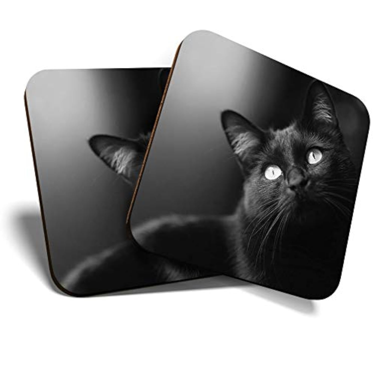 2 x Square Coasters - Beautiful Black Cat Kitten Cork Backed Home Kitchen Accessory Tea Coffee Mug Mat #38549