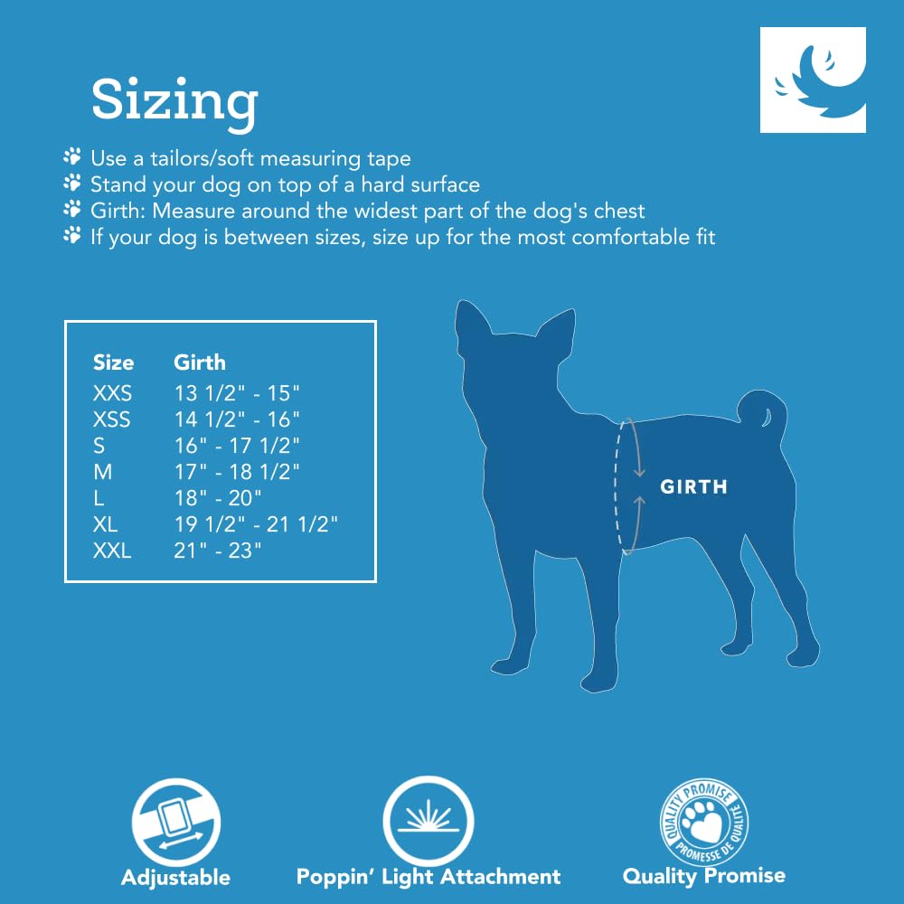 RC Pets Step in Cirque Arnés para perros | Pequeño, Laberinto