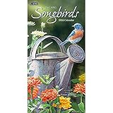 Lang Songbirds 2016 Vertical Wall Calendar by Susan Bourdet, January 2016 to December 2016, 7.75 x 15.5 Inches (1079122)