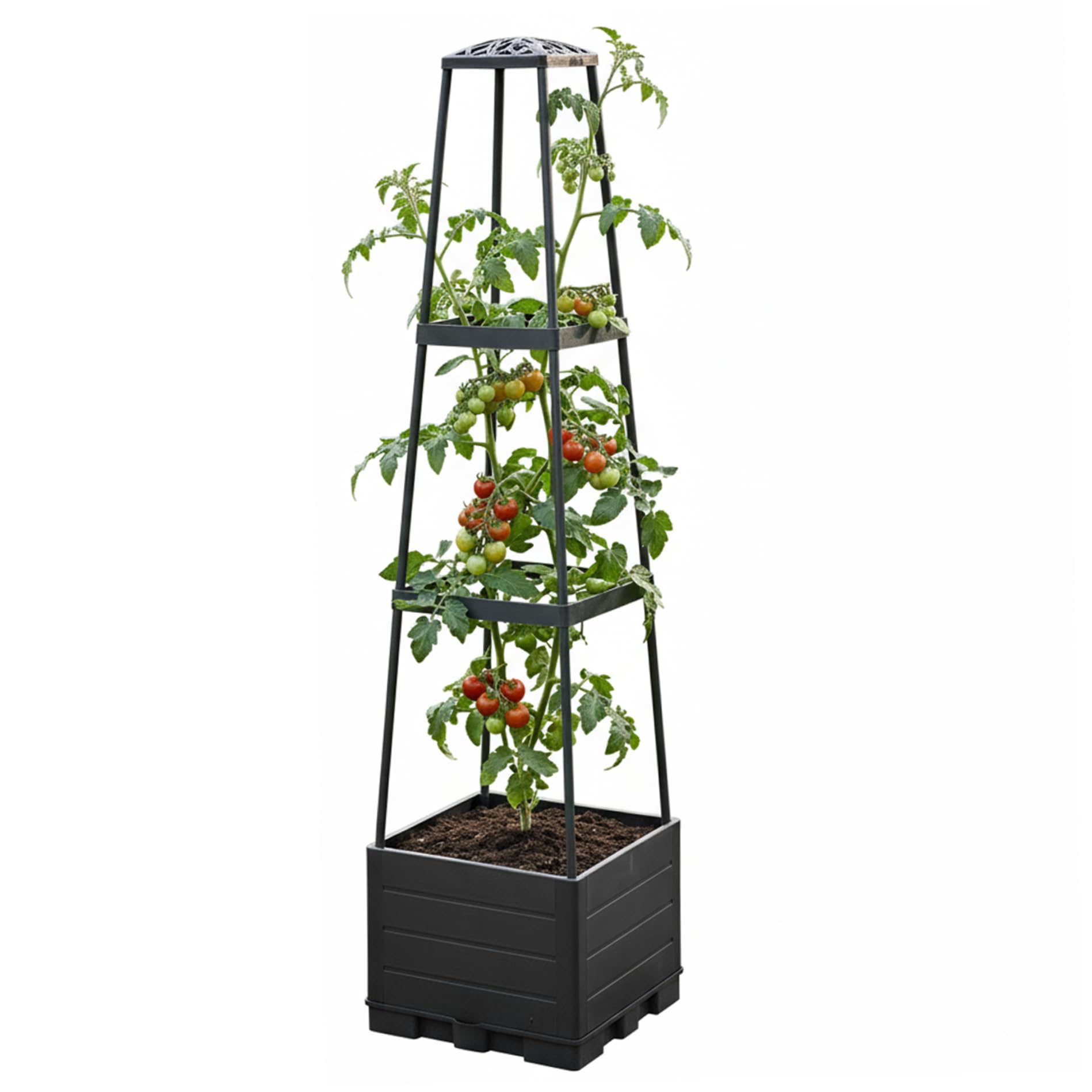 Tour verticale pour plantes grimpantes avec jardinière de tomates et treillis amovible