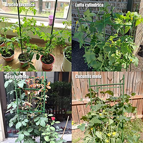 Orgrimmar Tomato Cages Garden Plant Support Stakes Outdoor Vegetable Trellis For Vertical Climbing Plant Up To 63“,3 Packs #TOP5