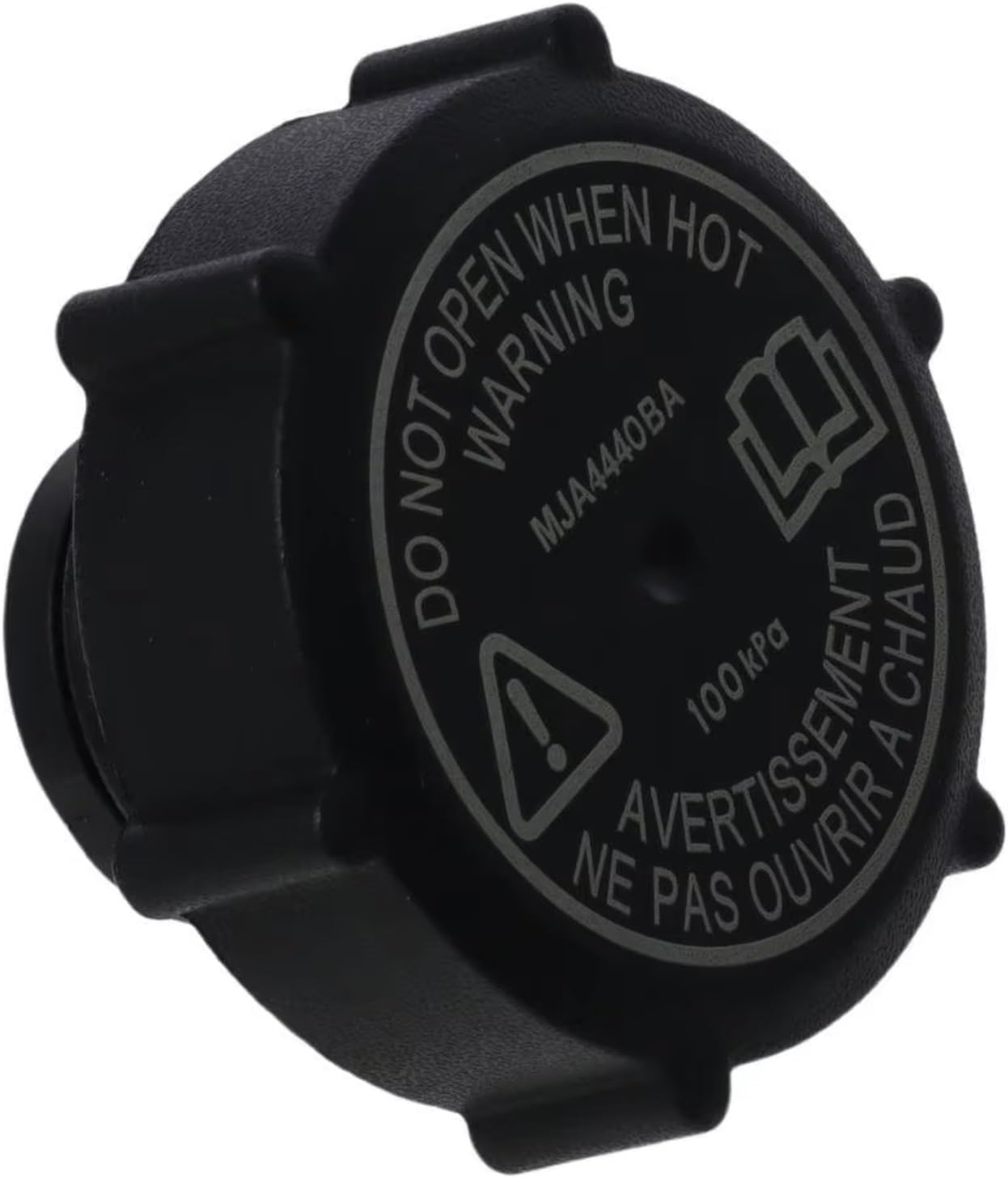 Pastel サイン本 人気作家 進徹『赤いリボンの裸婦』真作保証 直筆