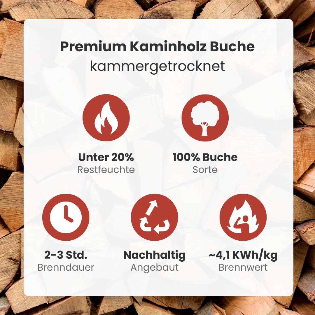 Brennholz Buche Palette 1RM 25 cm - kammergetrocknet, sauber & schädlingsfrei - Feuerholz 20% Restfeuchte für Kamin, Grill, Ofen, Feuerschale - Buchenholz Raummeter mit Lieferung