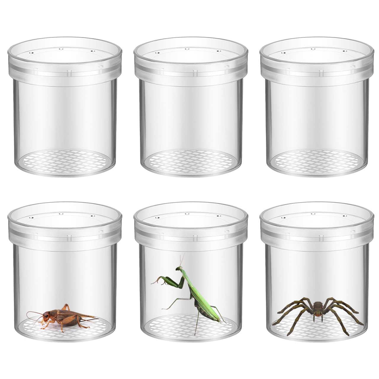 Magnifying Insect Container: 6Pcs Educational Insect Observation Magnifier Jar Transparent Exploration Viewer for Triple Magnification for Learning and Imagination Development for Outdoor Exploration