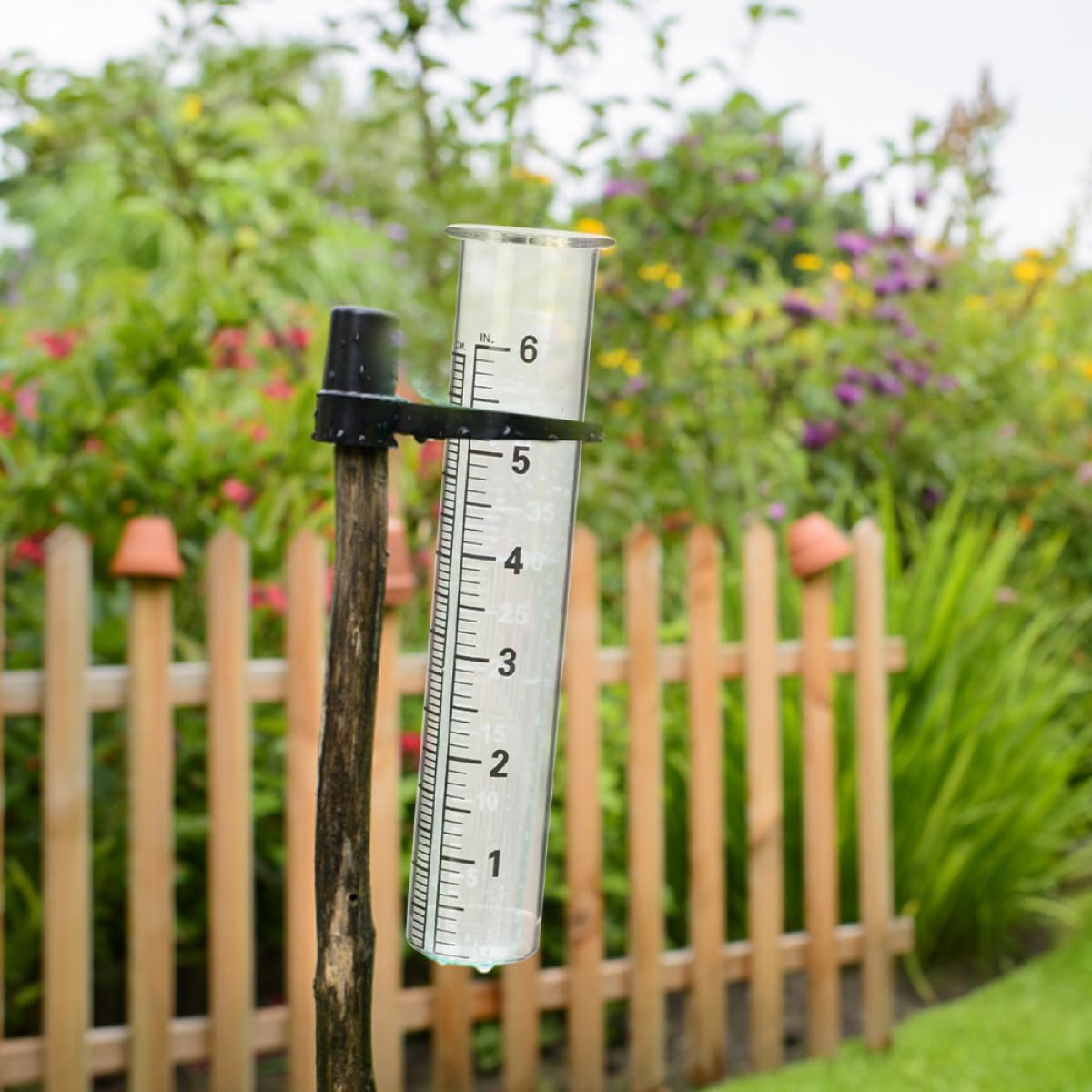 DOITOOL 4 Stück Regenmesser Glasrohr mit Skala Präziser Messzylinder aus Glas für Garten und Außenbereich Transparent Robust und Einfach Ablesbar