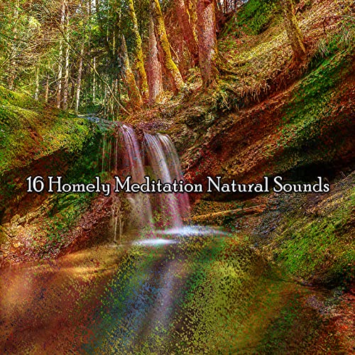 Amazon MusicでNature Sounds Nature Musicの16 Homely Meditation Natural ...