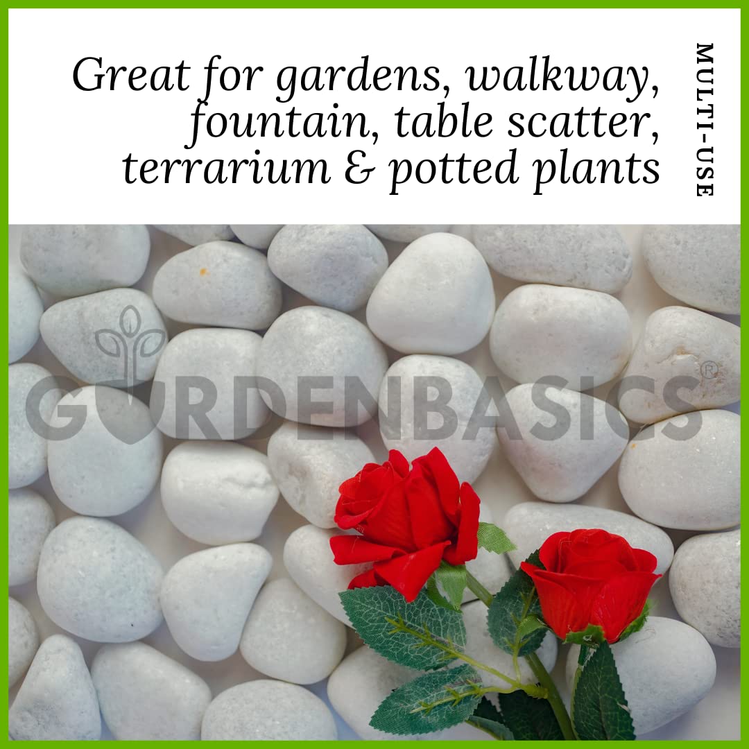 GARDENBASICS Unpolished White Pebbles/Pebble/Natural Decorative River Water Rocks/Stones For Garden, Gardening, Landscaping, Home Decoration, Vase Fillers, Rock Art, and Potted Plants (10 kgs) - Image 4 thumbnail