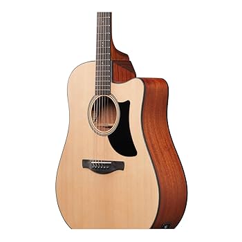 Amazon.com: Ibanez AAD50CE Advanced Acoustic-electric Guitar