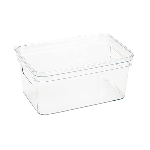 Simplify Large, Super Clear Lidded Storage Bin