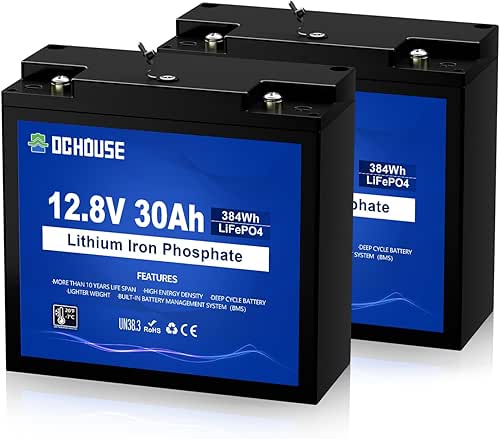 DC HOUSE 2 Pack 12V 30Ah LiFePO4 Lithium Battery with