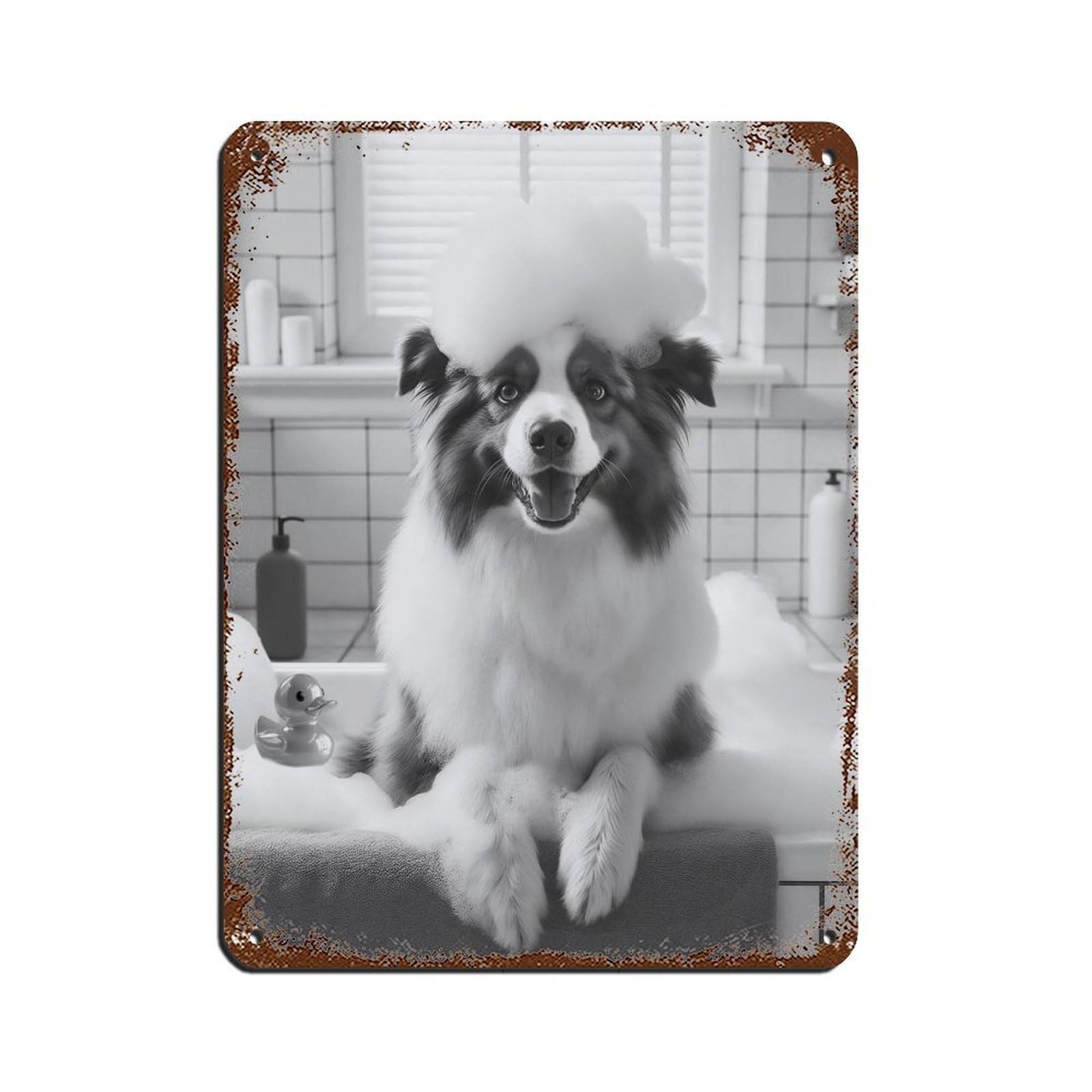 Australian Shepherd, Bathroom Art Poster Retro Poster Metal Tin Sign Chic Art Retro Iron Painting Bar People Cave Cafe Family Garage Poster Wall Decoration 12x16inch(30x40cm)