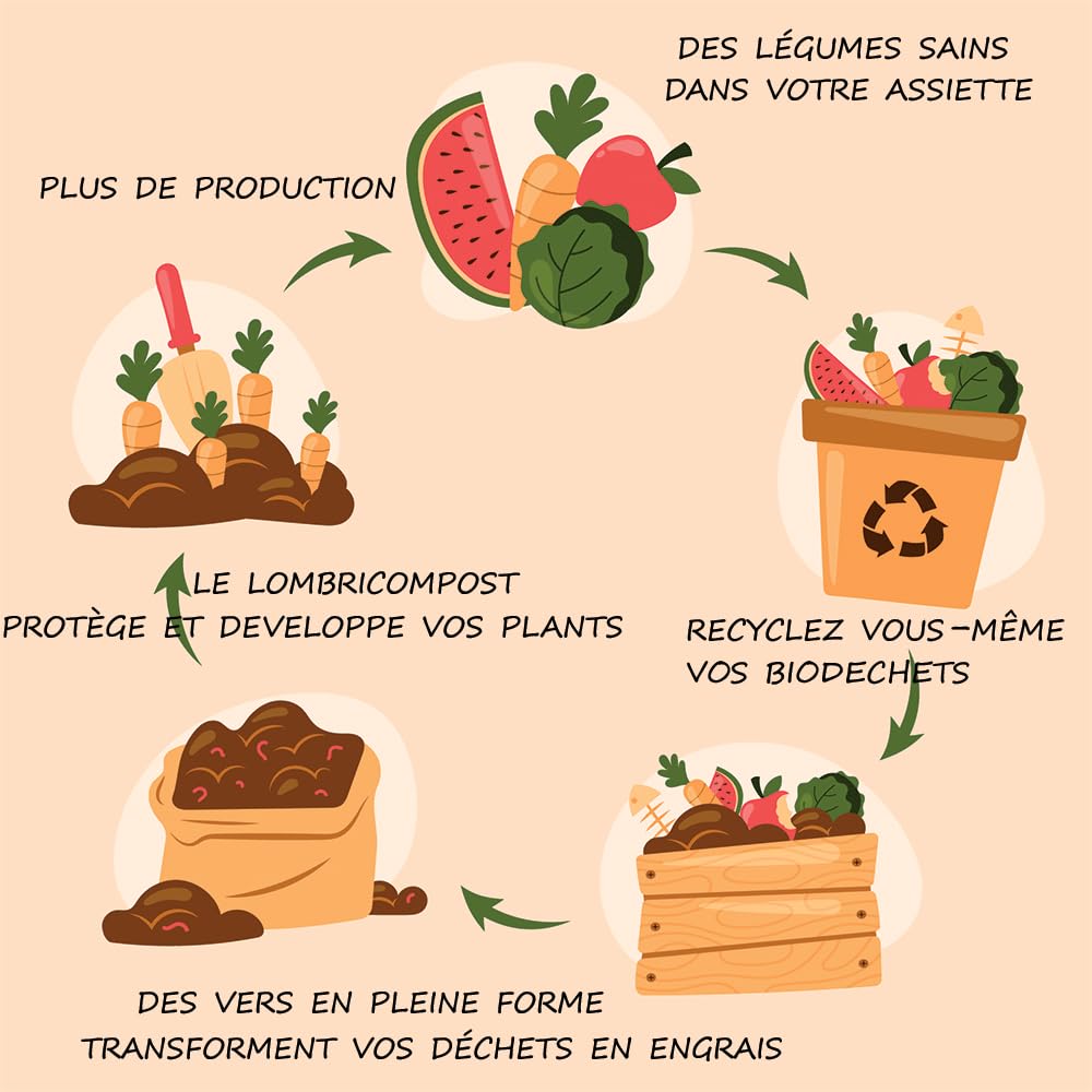 Gusanos de Compost 250 Gramos. lombrices de Tierra vivas Eisenia para compostaje. Los Gusanos para compostar Tus biodechet en Un mircompostador o en El compostador de Tu Jardín.