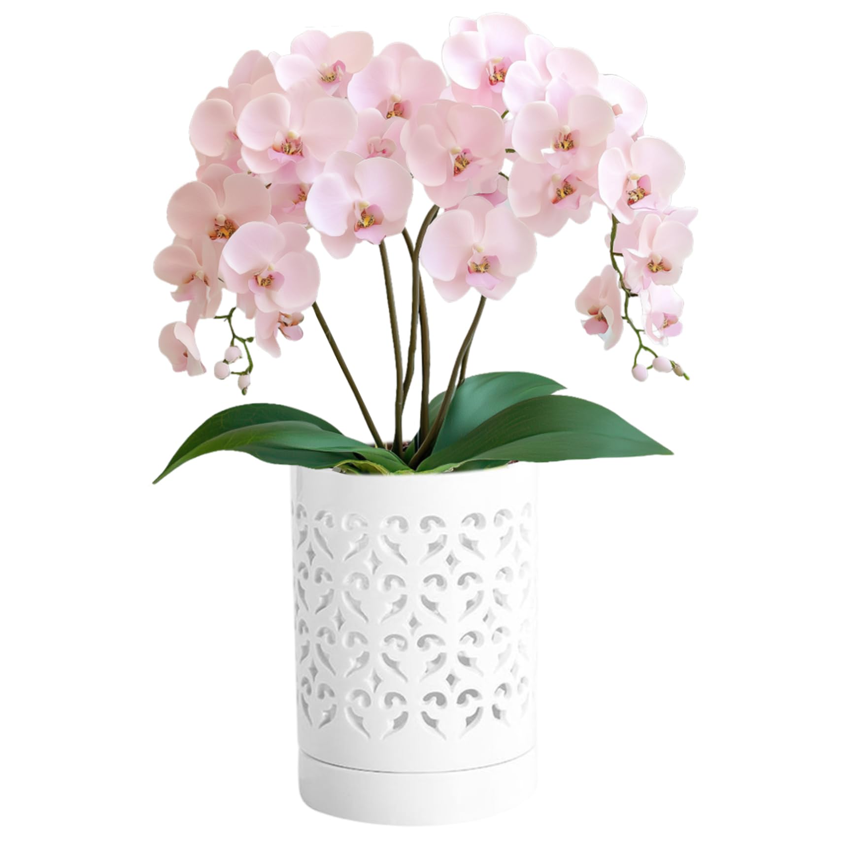 Pots d'orchidées perforés avec soucoupe en céramique pour rempotage réussi