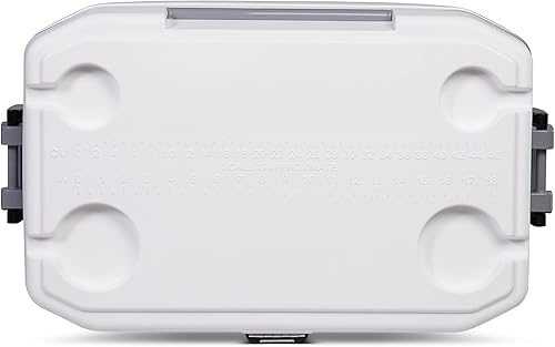 Miniatura 5 de Hielera Marine, de la marca Igloo