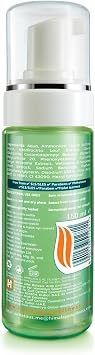 Himalayan Since 1930 Purifying Facial Cleansing Foam, Neem, Turmeric, Paraben-Free, Normal and Oily Skin, 150 ml