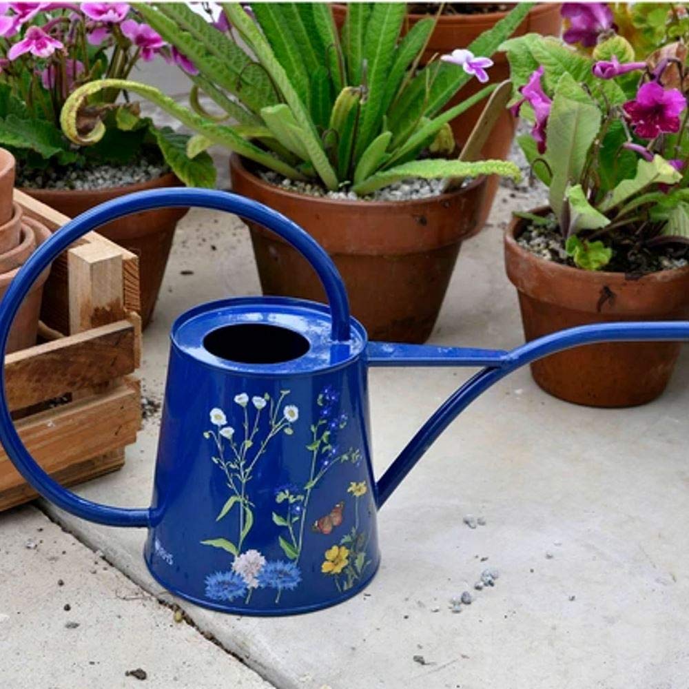 Burgon & Ball RHS British Meadow Arrosoir d'intérieur Bleu Taille M