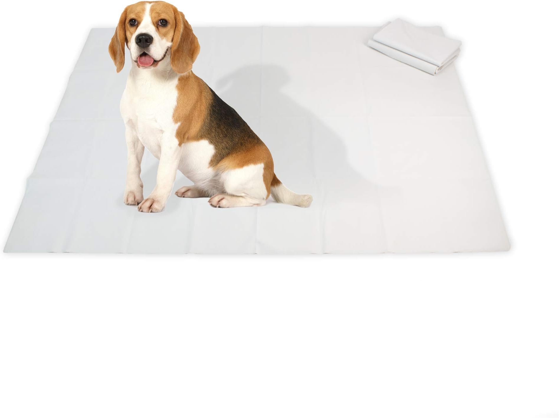 NAC Home Playpen Floor Mat Dog MAT Dog Training Pad Underlay - Reusable and Waterproof - Wee and Poo Proof (Small - 40" x 40") Ideal for Various pet Needs crates, Cages, Liners, Litter etc.