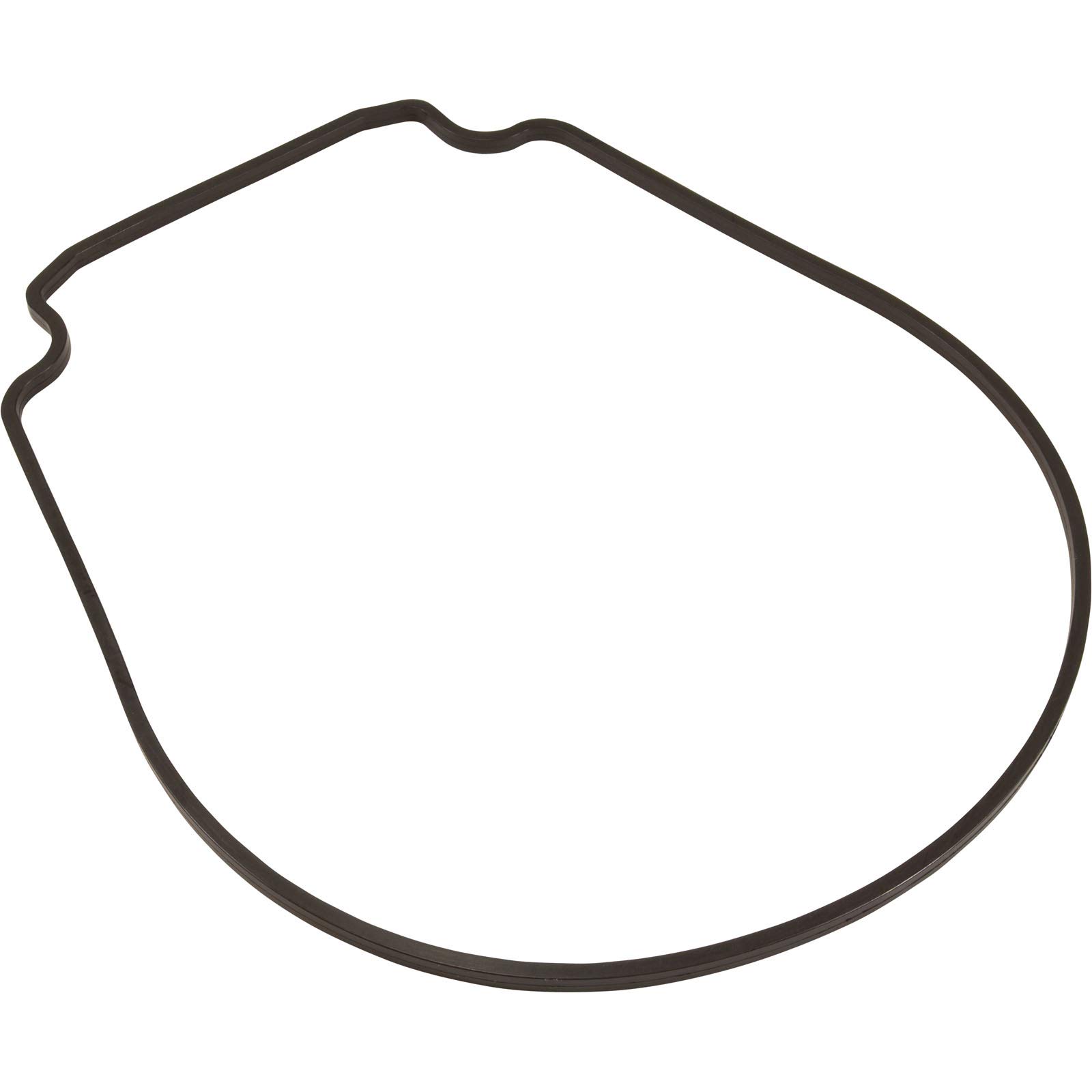 Pentair 357100 Black Seal Plate Gasket Replacement Pool and Spa Inground Pump