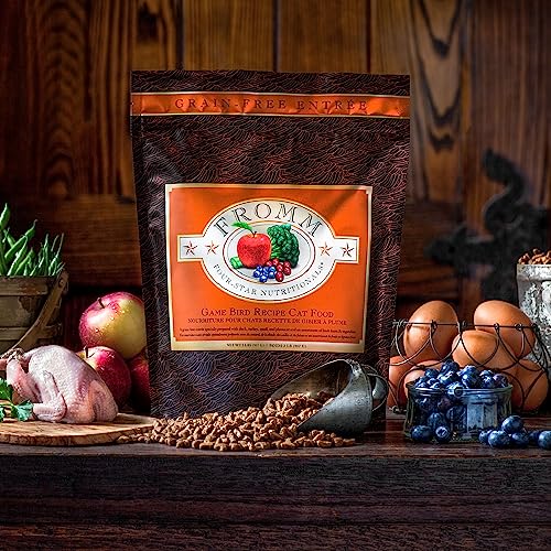 Fromm Four-Star Nutritionals Game Bird Cat Food - Premium Dry Cat Food - Turkey Recipe - 4 Lb #TOP7
