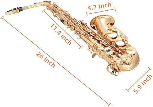 Miniatura 6 de Glarry Student Alto Eb E-flat Saxofón Saxofón Gold Lacquer SAX Kit para principiantes con estuche, cañas, pieza para la boca, paño de limpieza suave