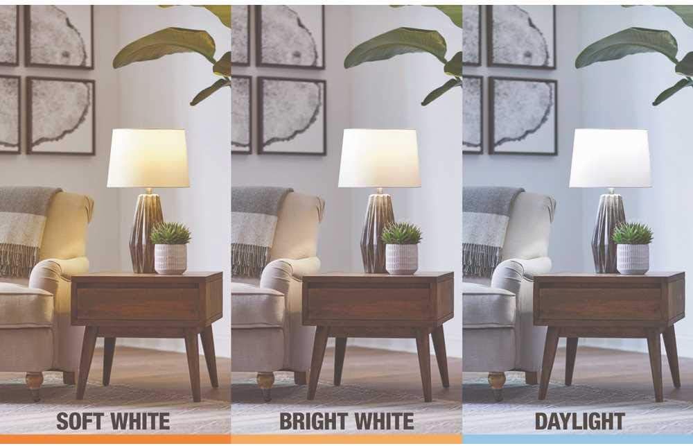 EcoSmart 75-Watt Equivalent PAR30 Dimmable Flood Energy Star LED Light Bulb Daylight (2-Pack)