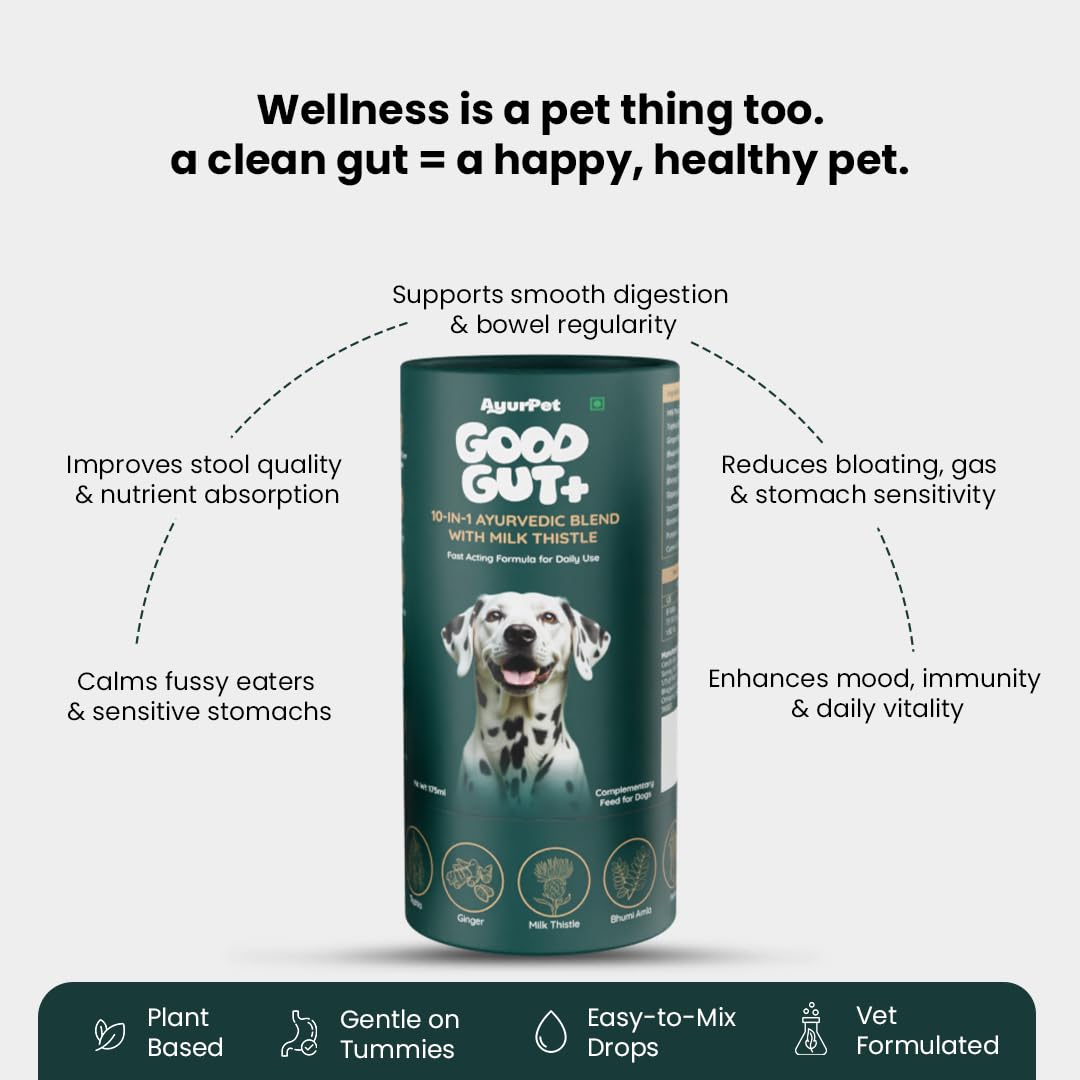 GoodGut+ Digestive Enzymes & Prebiotics for Dogs - 175ml — Amazon image 5