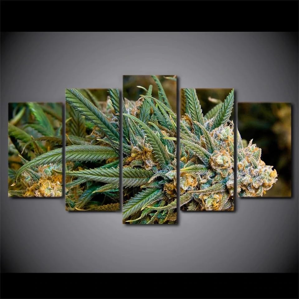 Tableau marijuana weed de 5 parties impression sur toile deco murale pour salon avec cadre