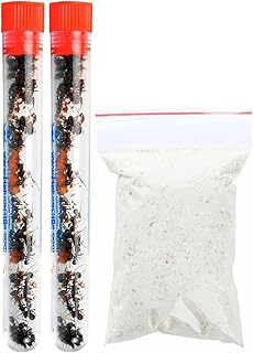50 Live Red Harvester Ants with 10oz Sand for Ant Habitats – Live Arrival, Shipped Now – Perfect for Educational Science Projects & Interactive Habitat Experience