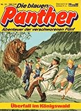  Die blauen Panther Comic Magazin # 13 - Bastei 1980 - Überfall im Königswald (Die blauen Panther)