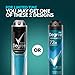 Degree Men Antiperspirant Deodorant Dry Spray Cool Rush 3 count Deodorant for Men With MotionSense Technology 3.8 oz