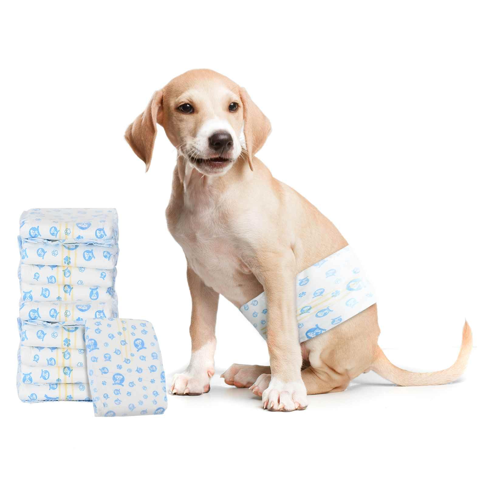 Protection Hygiénique Jetable pour Chien Mâle Taille M 30 pcs Blanc Absorbant Ajustable Confortable Maintien Sécurisé pour Incontinence Urinaire Chaleurs Éducation Senior Voyage