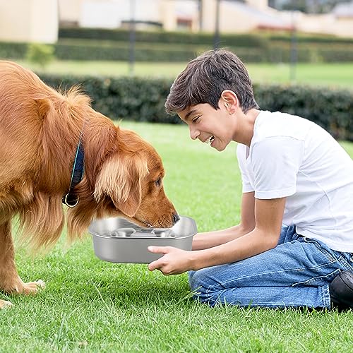 Slow Feeder Hundenapf Einfügung,Anti Schling Napf Anti Choke Große Hundenäpfe Kieselgel Slow Feeder Bowl für Hunde Fressnäpfe für Hunde Zubehör,Entlastet die Verdauung (Hundeteller)