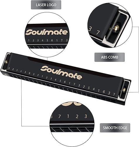 Miniatura 2 de Armónica de 24 agujeros C Key Blues Armónica con estuche, armónica de órgano de boca para principiantes con estuche para niños, adultos,