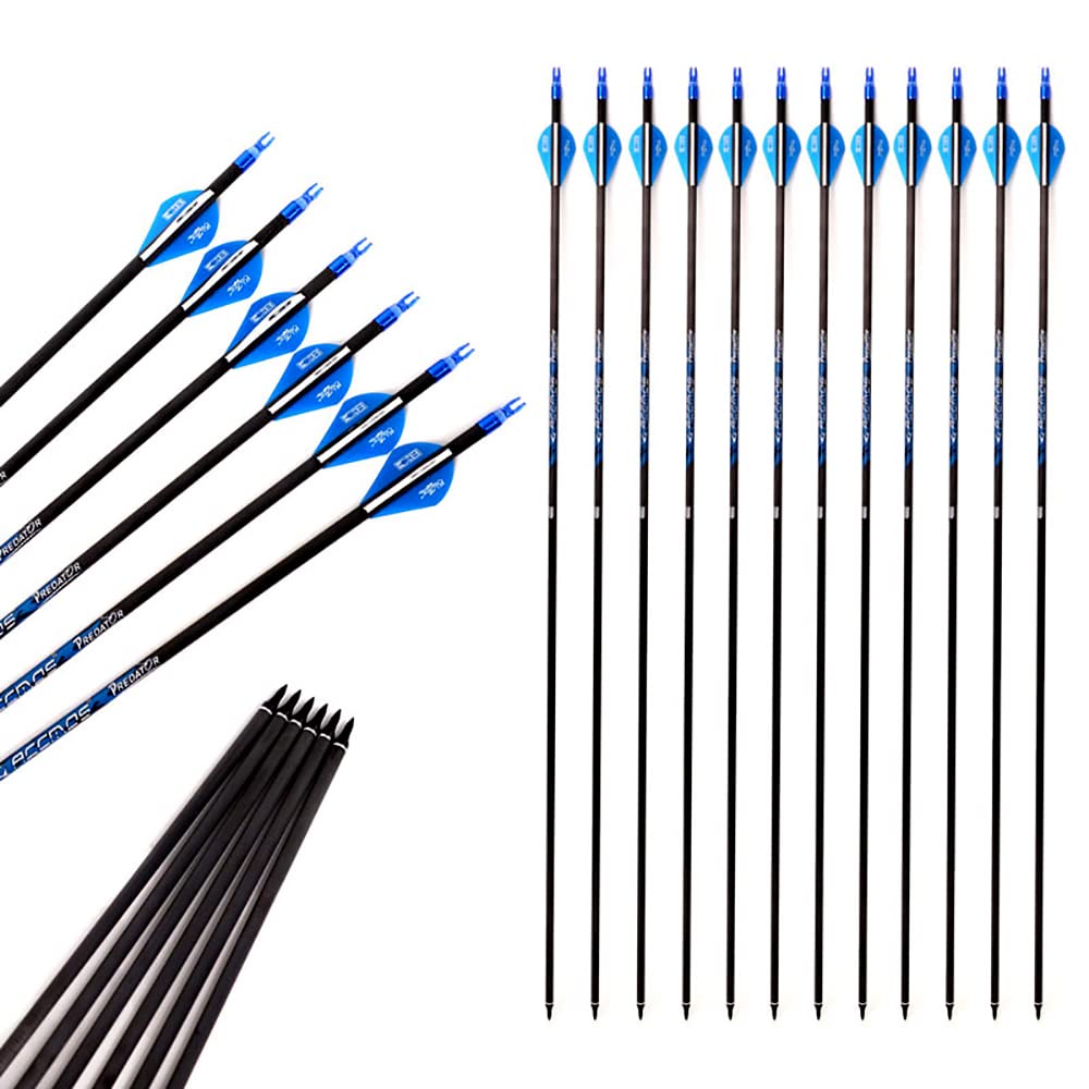 ACCMOS 27-33 Zoll Bogenschießen Carbonpfeil Spine 250 300 340 400 500 600 700 800 ID 6,2 mm Blauer Explosionsgeschützter Ring, für Erwachsene Jugend Recurve Compoundbogen Jagd Schießen 12 St