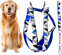 Coleira Peitoral Americano para Cachorro Médio e Grande com Guia Anti Puxão - Pitbull, Golden, Labrador, Rottweiler, Fila, Pastor Alemão, Doberman, Toni Corso (Azul Triângulos)