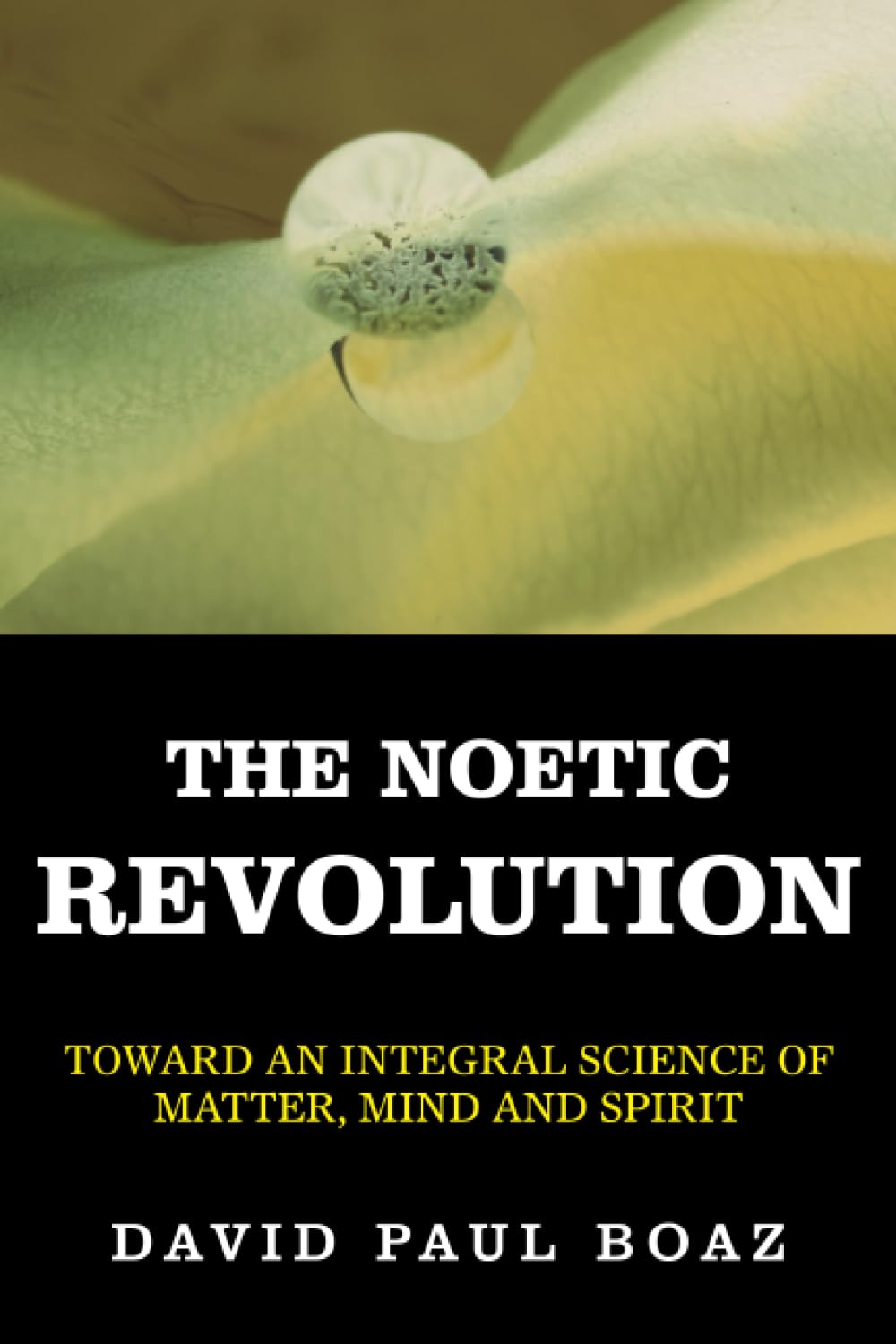 The Noetic Revolution: Toward an Integral Science of Matter, Mind and Spirit