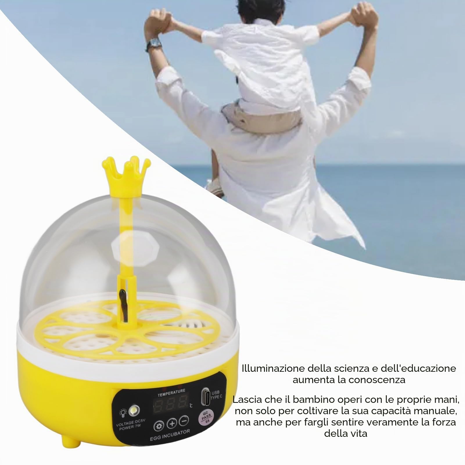Mini Incubatrice per Uova: Controllo Automatico Umidità Temperatura mini incubatrice per uova 4 Uova, Silenziosa, Portatile, LED, 7W egg incubator Incubators