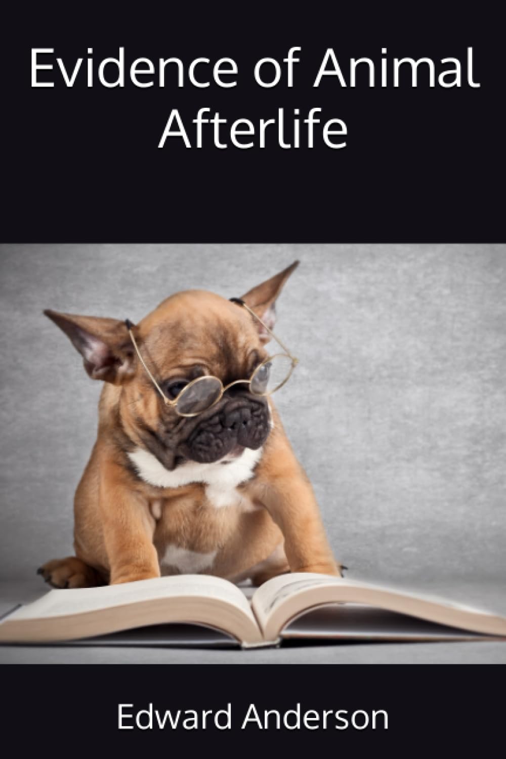 Evidence of Animal Afterlife